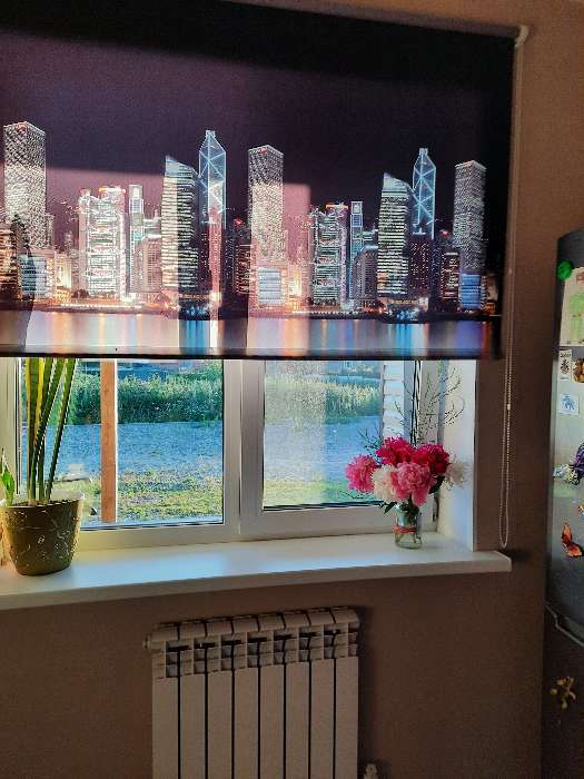 Фотография покупателя товара Рулонная штора «Сити», 160 х 175 см, цвет ночь - Фото 8