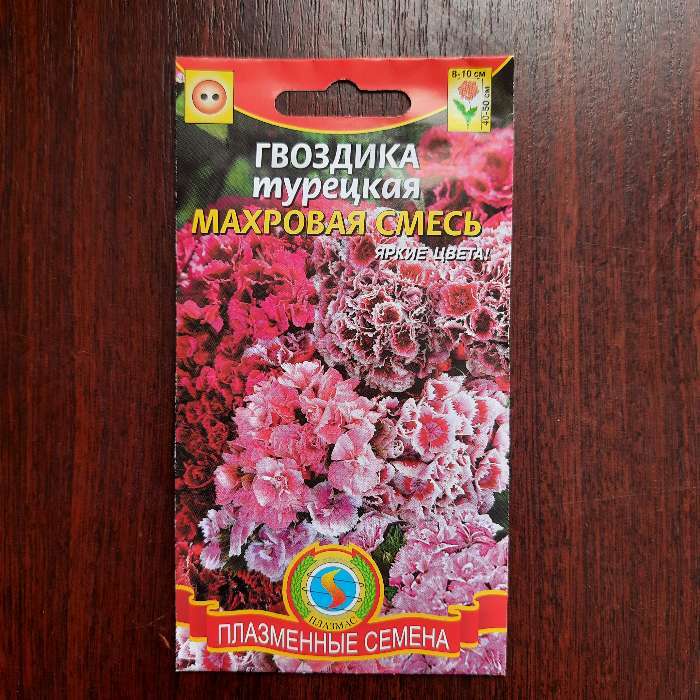 Фотография покупателя товара Семена цветов Гвоздика "Махровая смесь", 0,2г - Фото 1