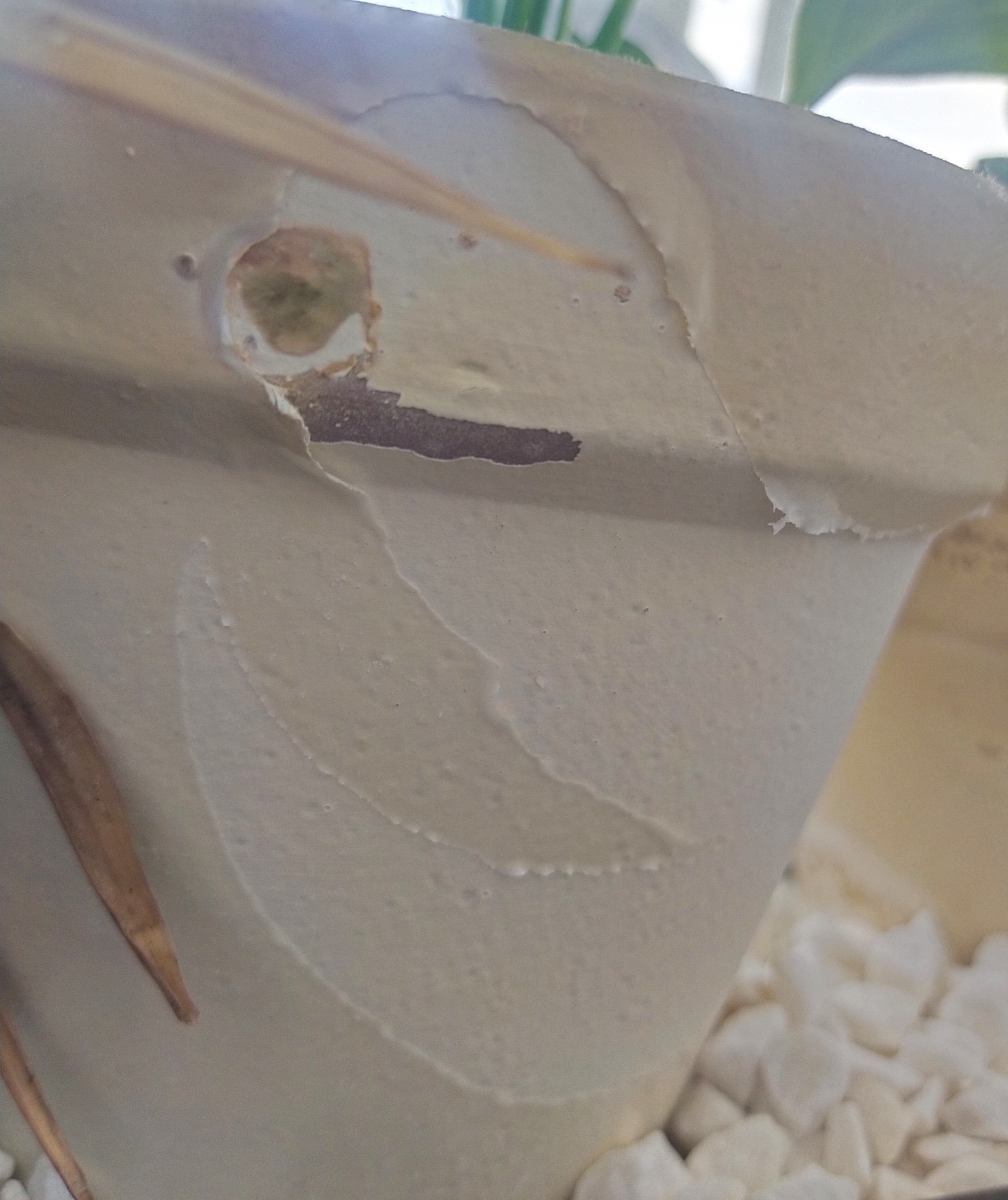 Фотография покупателя товара Горшок для цветов, 1.2 л, d=15 см, h=13 см, керамический, с поддоном, белый - Фото 16