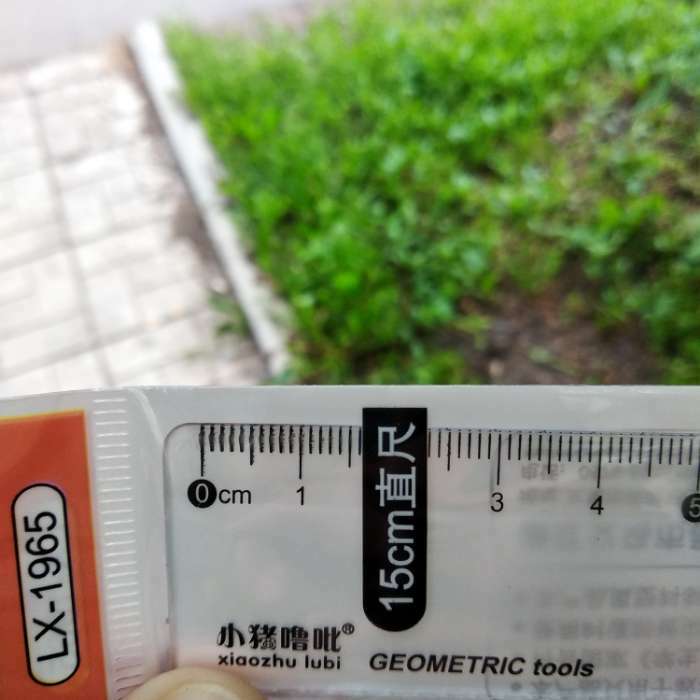 Фотография покупателя товара Линейка 15 см "Котики, Мишки", в пакете - Фото 7