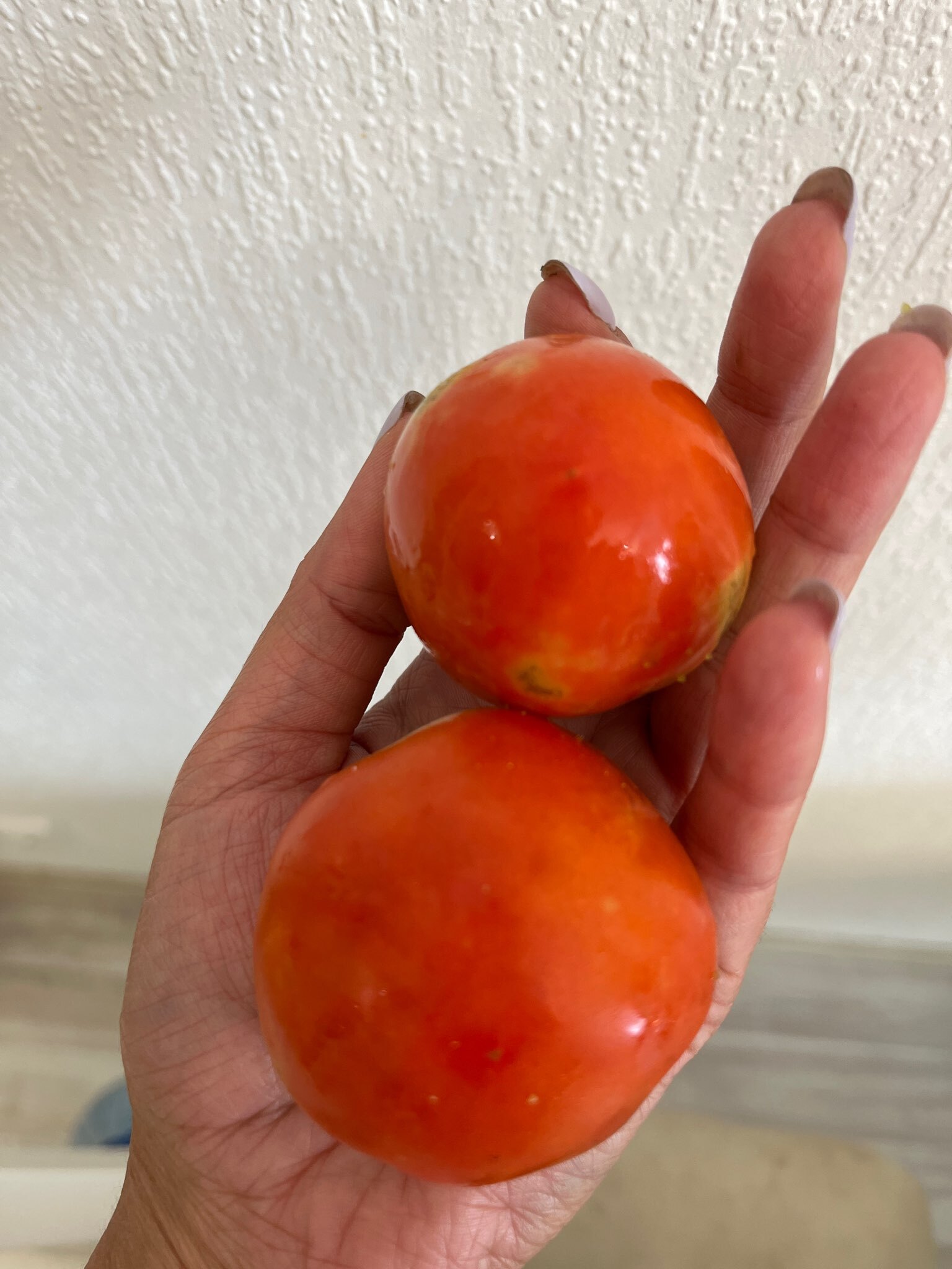 Фотография покупателя товара Семена Томат черри "Садовая Жемчужина", 0,1 г - Фото 3