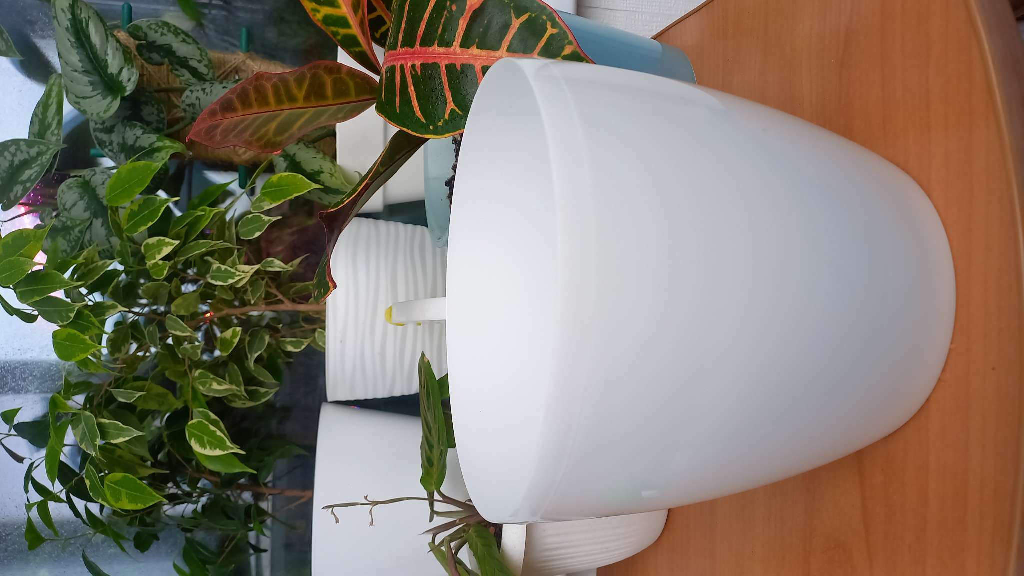 Фотография покупателя товара Кашпо для цветов, d=17 см, 2.7 л, пластик, белое - Фото 2