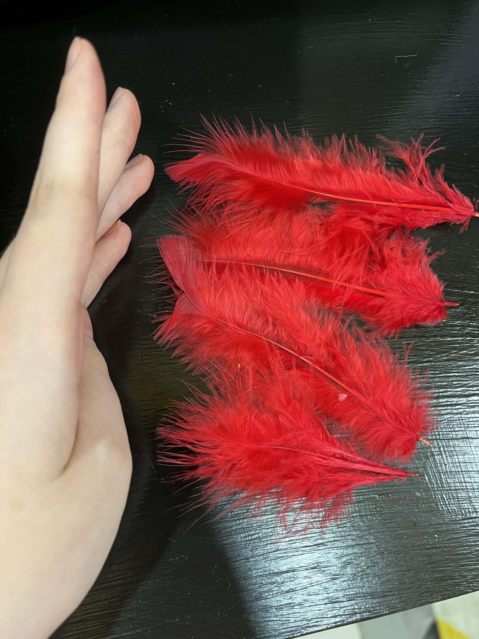 Фотография покупателя товара Набор перьев для декора 10 шт., размер 1 шт: 10 × 2 см, цвет красный - Фото 1