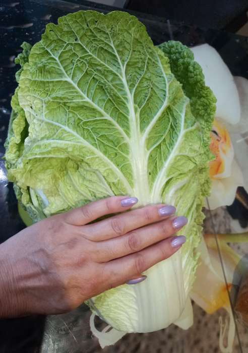 Фотография покупателя товара Семена Капуста пекинская «Ча-ча», F1, 50 шт., «Русский огород» - Фото 2