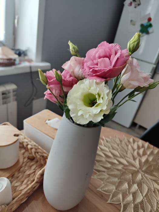 Фотография покупателя товара Семена цветов Эустома АВС розовая махровая, О, ц/п,5 шт. - Фото 1