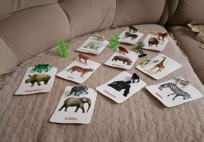 Фотография покупателя товара Развивающий набор фигурок для детей «Дикие животные» с карточками, по методике Домана - Фото 13