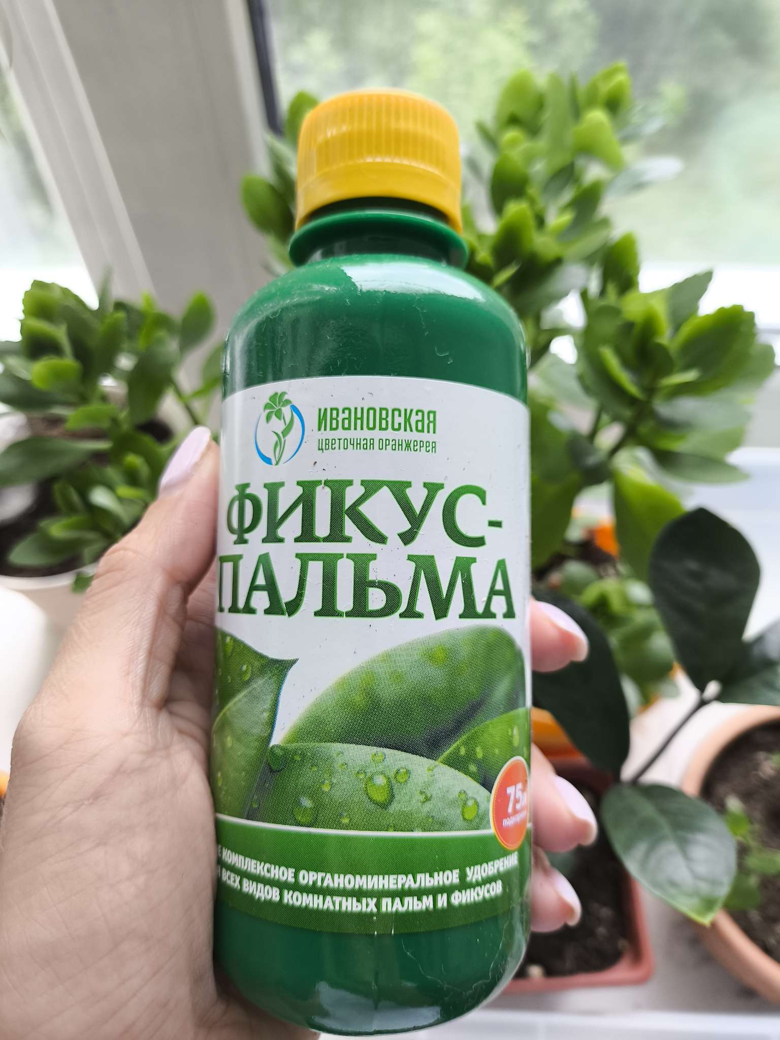 Фотография покупателя товара Удобрение жидкое органоминеральное ПАЛЬМА-ФИКУС для комнатных растений, 0,25 л - Фото 1