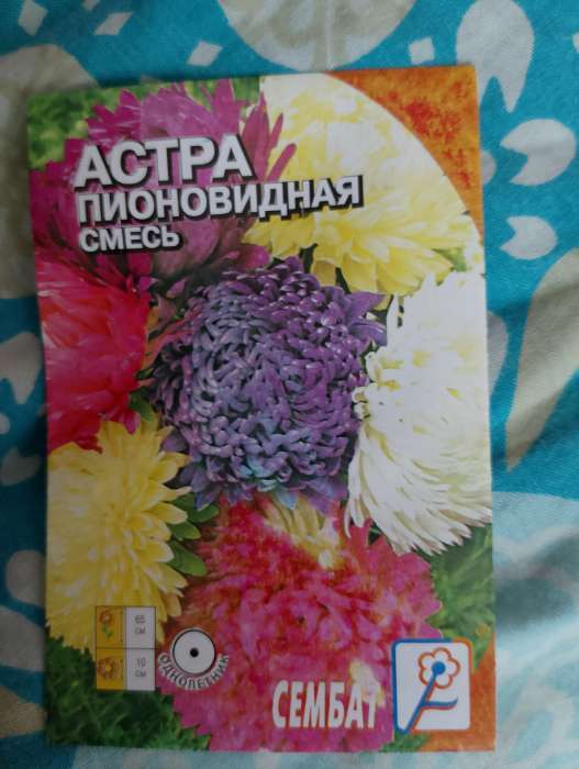Фотография покупателя товара Семена цветов Астра пионовидная, смесь, 0.2 г