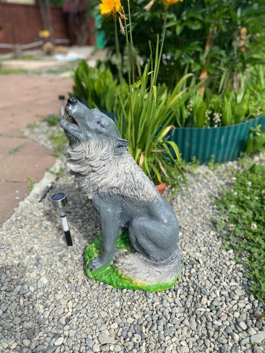 Фотография покупателя товара Садовая фигура "Волк воющий" 19х30х52см - Фото 1