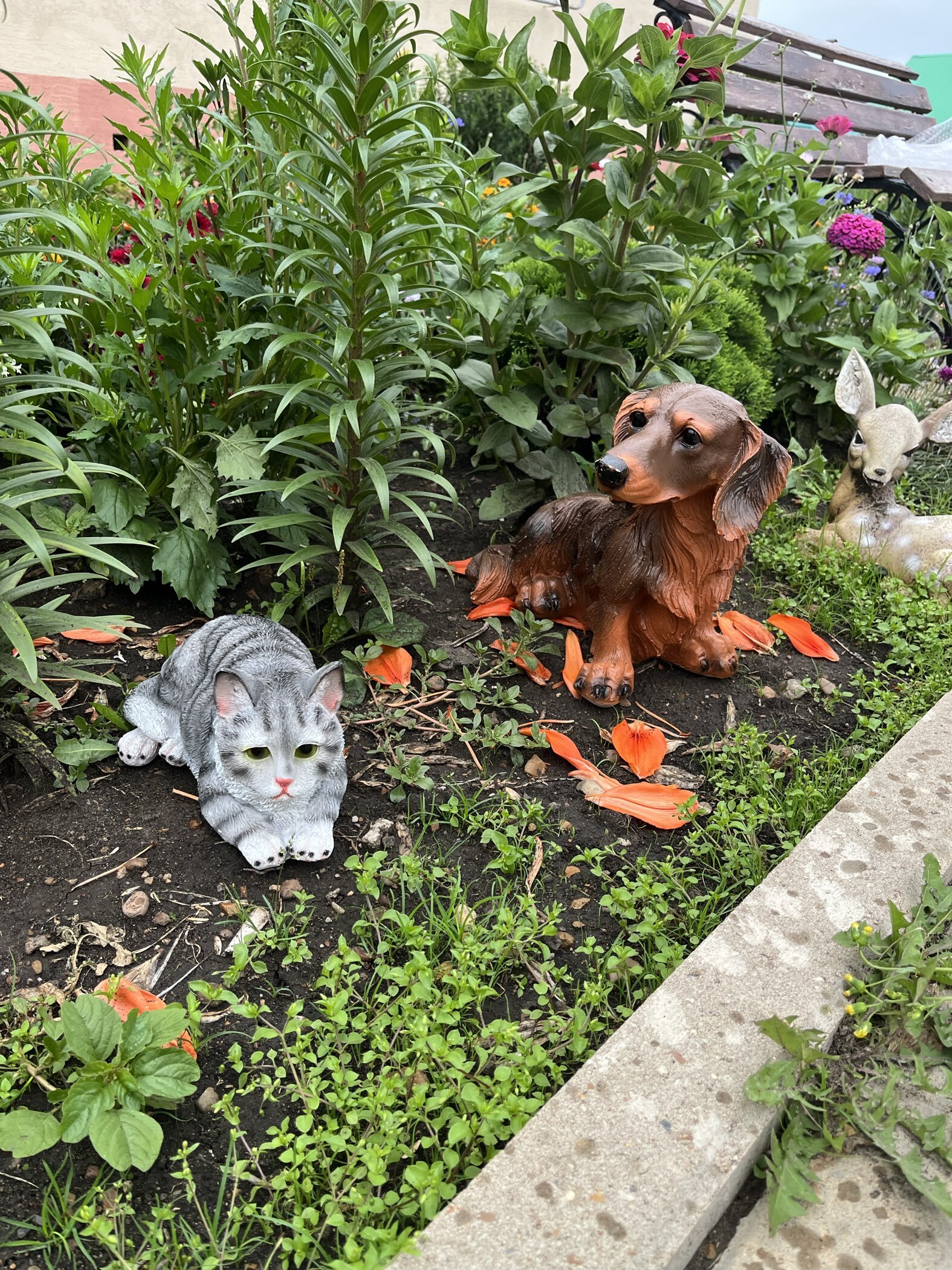 Фотография покупателя товара Садовая фигура из гипса «Кот», 16×30×14 см - Фото 2