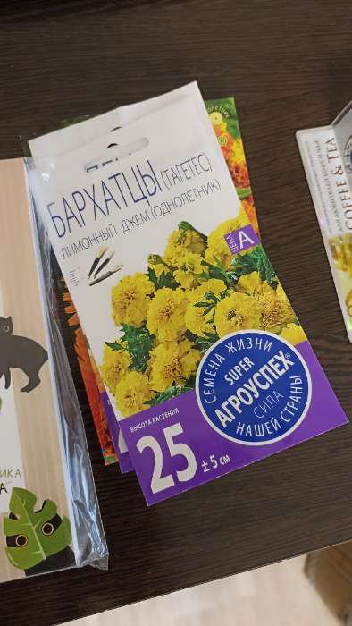 Фотография покупателя товара Семена цветов Бархатцы Лимонный джем низкорослые, О, 0.3 г - Фото 1