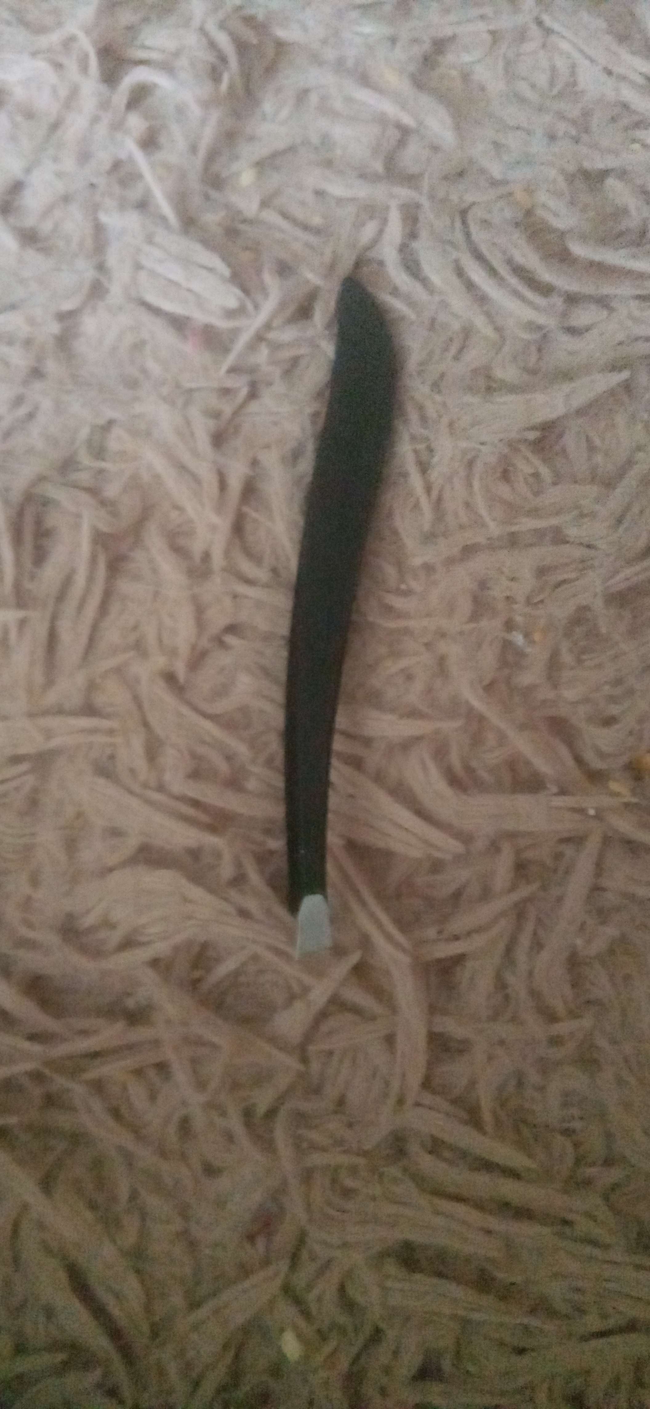 Фотография покупателя товара Пинцет скошенный, узкий 9 см, цвет чёрный