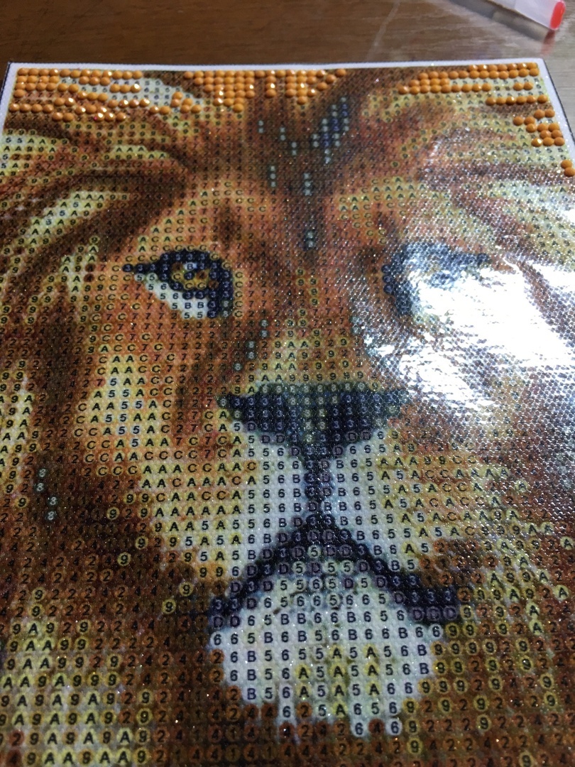 Фотография покупателя товара Алмазная мозаика с полным заполнением на холсте «Лев», 15×21 см - Фото 4