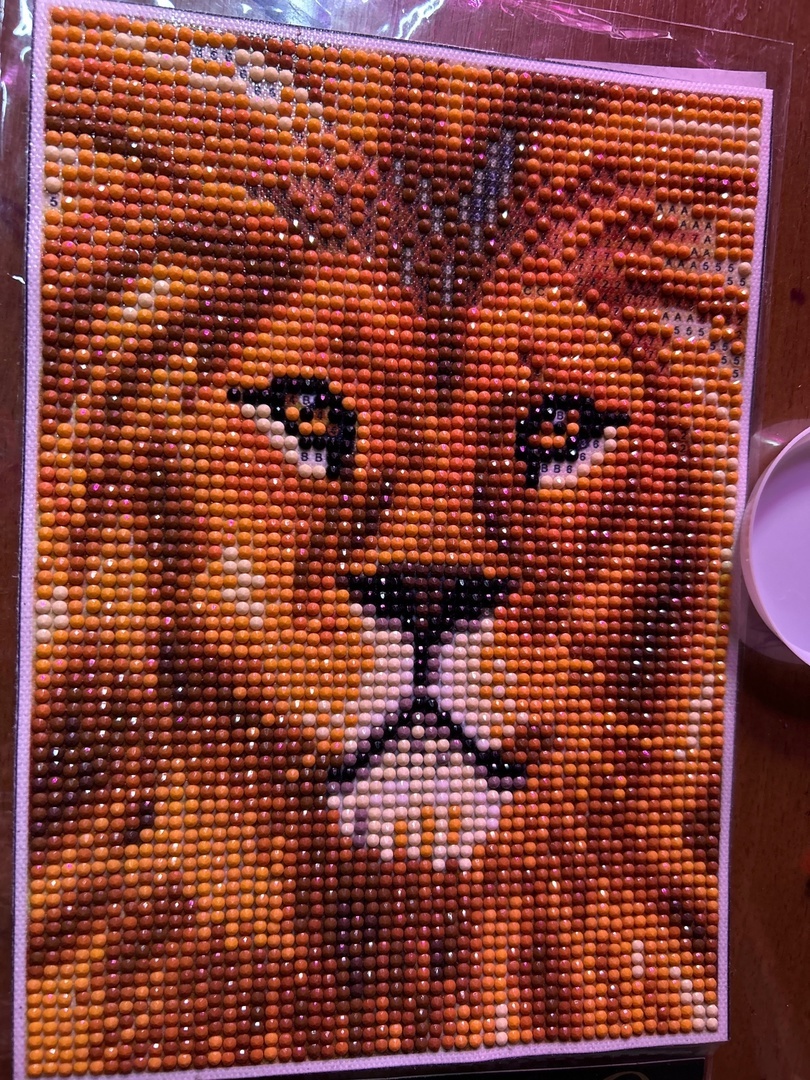 Фотография покупателя товара Алмазная мозаика с полным заполнением на холсте «Лев», 15×21 см - Фото 3