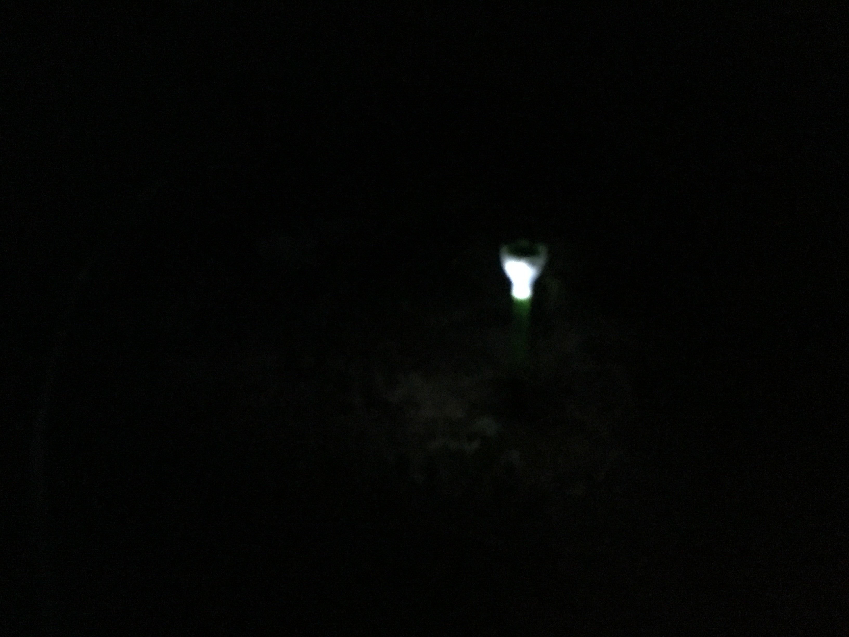 Фотография покупателя товара Садовый светильник на солнечной батарее «Цветок зелёный», 6 × 29 × 6 см, 1 LED, свечение белое