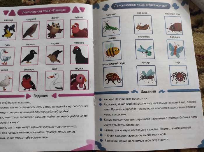 Фотография покупателя товара Книги для развития речи «Уроки логопеда», набор 10 шт. по 24 стр., 5-7 лет - Фото 6