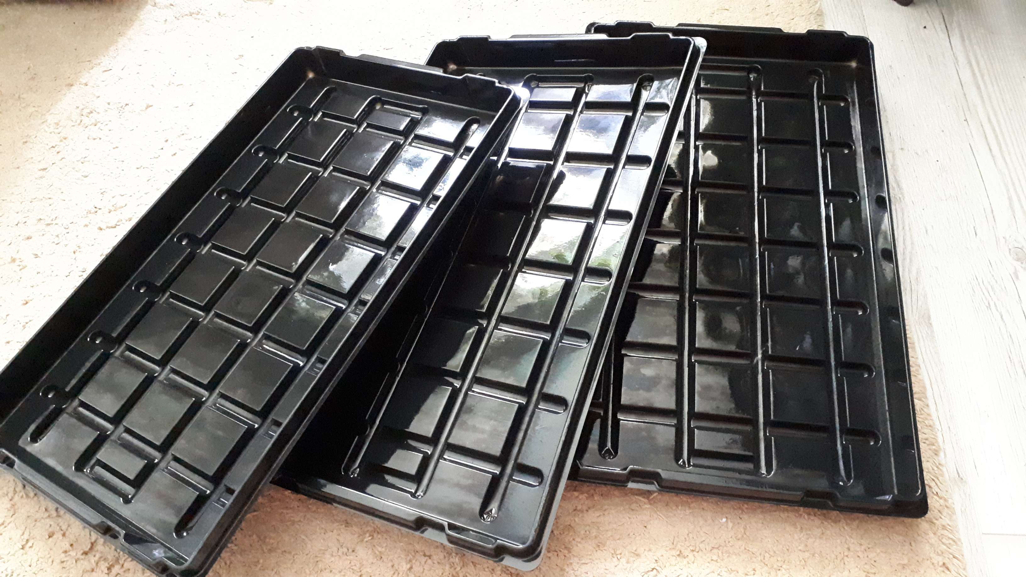 Фотография покупателя товара Поддон для рассады, 52 × 31 × 3,5 см, пластик, чёрный
