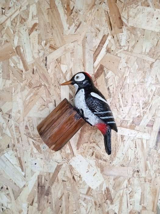 Фотография покупателя товара Подвесной декор их полистоуна «Дятел», 10.5×9×23.5 см - Фото 1