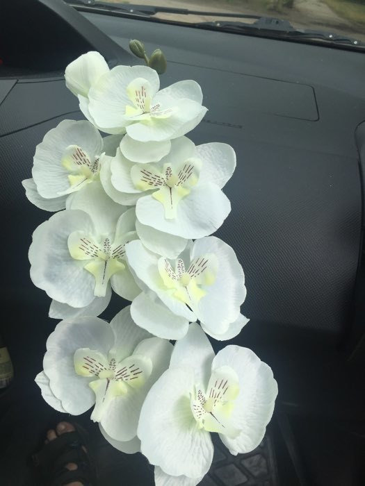 Фотография покупателя товара Цветы искусственные "Орхидея молди" 9х66 см, белый - Фото 5