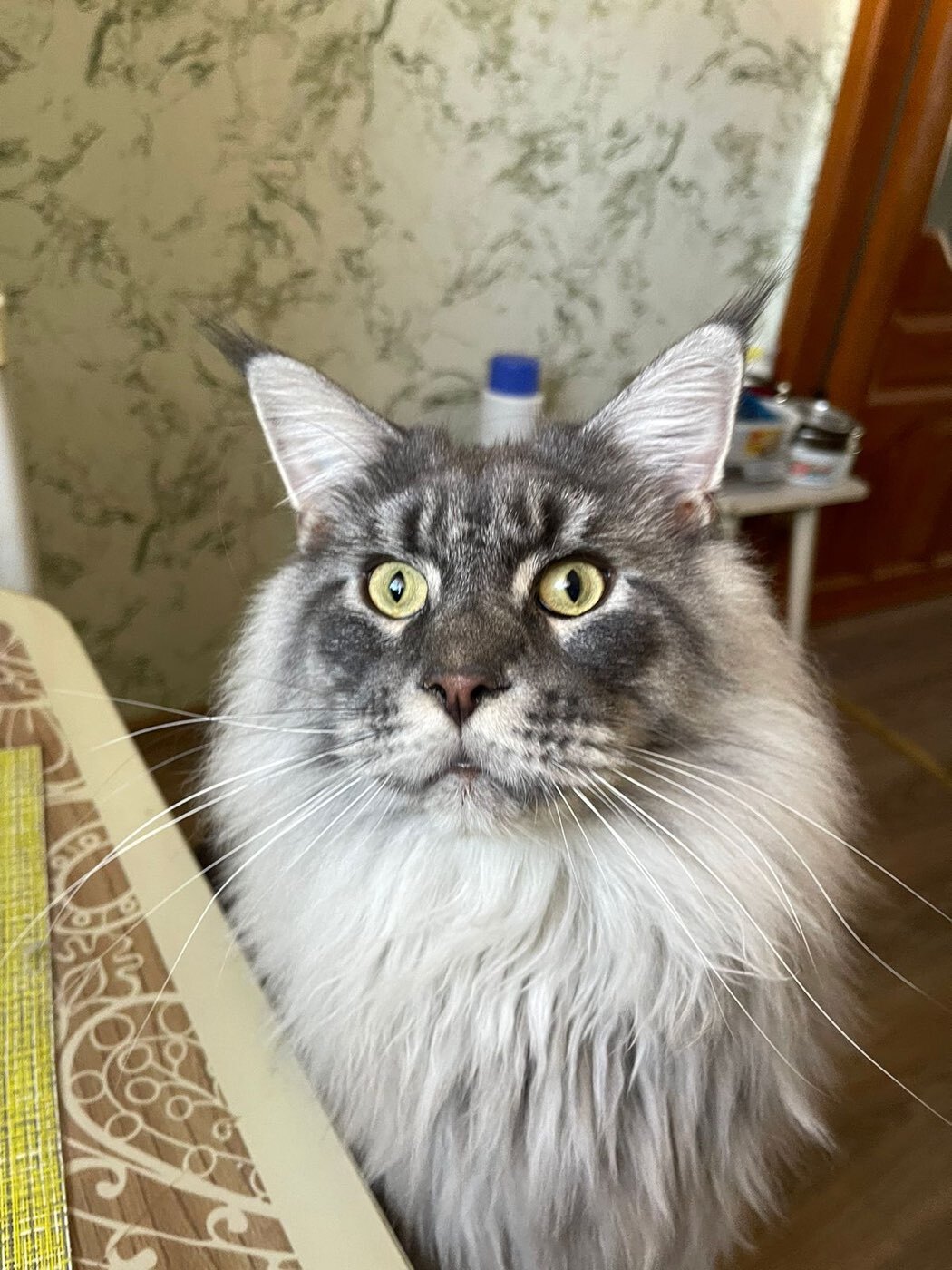 Фотография покупателя товара Стакан пластиковый одноразовый «Кристалл», 200 мл, прозрачный - Фото 3