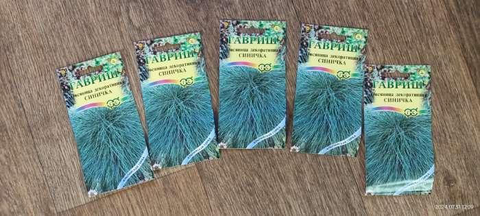 Фотография покупателя товара Семена цветов Овсяница "Синичка", ц/п,  декоративная , 0,1 г - Фото 4