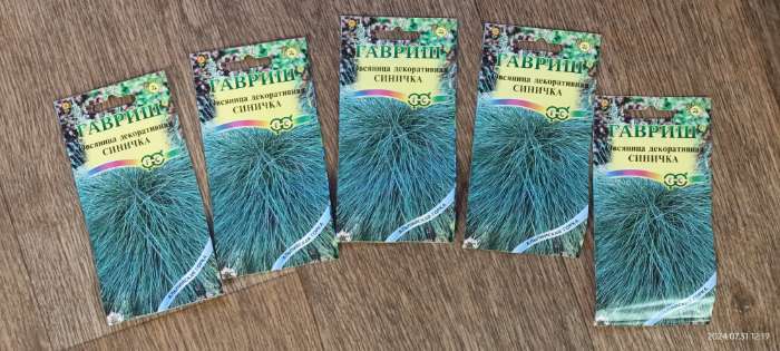 Фотография покупателя товара Семена цветов Овсяница "Синичка", ц/п,  декоративная , 0,1 г - Фото 5