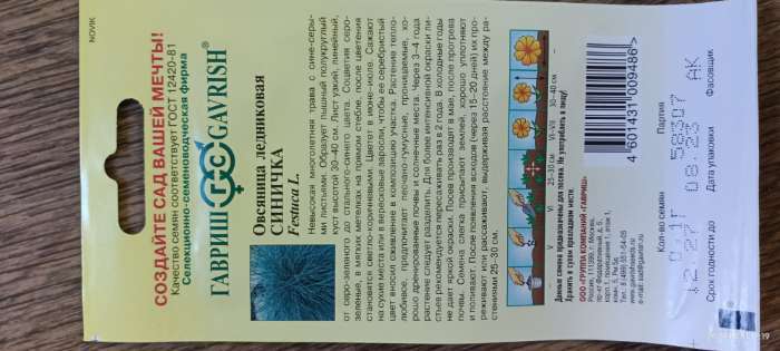 Фотография покупателя товара Семена цветов Овсяница "Синичка", ц/п,  декоративная , 0,1 г - Фото 2