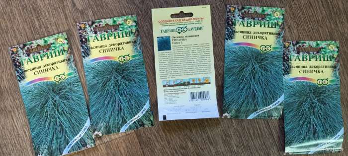 Фотография покупателя товара Семена цветов Овсяница "Синичка", ц/п,  декоративная , 0,1 г - Фото 6