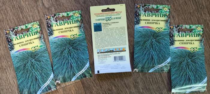 Фотография покупателя товара Семена цветов Овсяница "Синичка", ц/п,  декоративная , 0,1 г - Фото 3