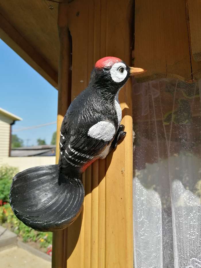 Фотография покупателя товара Подвесная зимняя кормушка для птиц "Дятел чёрный" из полистоуна, 26см, Хорошие сувениры - Фото 1
