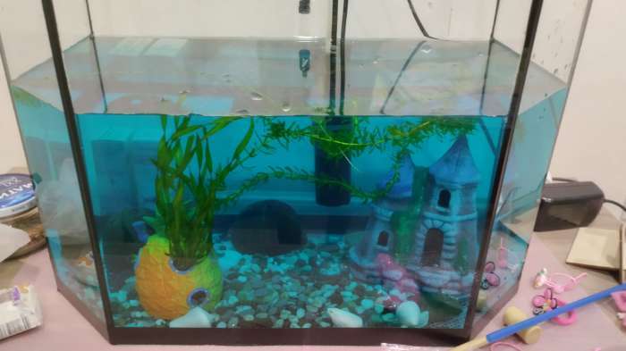 Фотография покупателя товара Кондиционер для аквариумной воды «Метиленовый синий» против грибков, бактерий, ихтиофтириоза, 50 мл - Фото 1