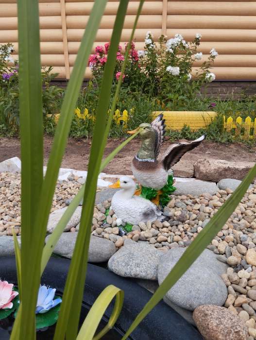 Фотография покупателя товара Садовая фигура из полистоуна «Утка с селезнем», 35 см - Фото 1