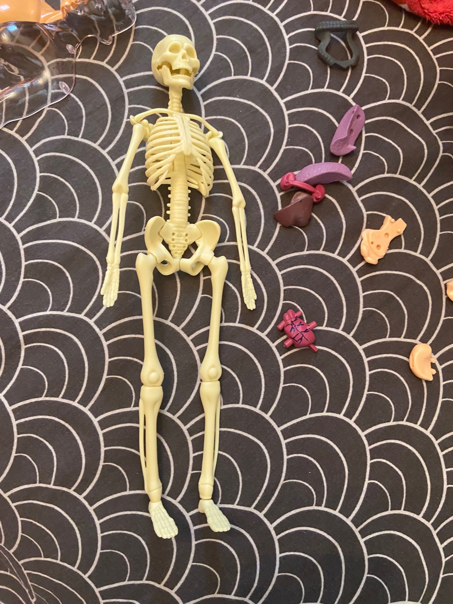 Фотография покупателя товара Набор для опытов «Строение тела», анатомия человека