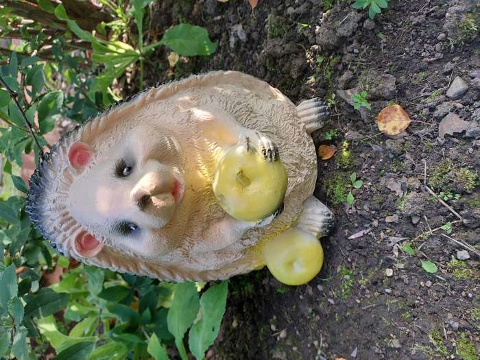 Фотография покупателя товара Садовая фигура "Ёжик с яблоком" 26см - Фото 4