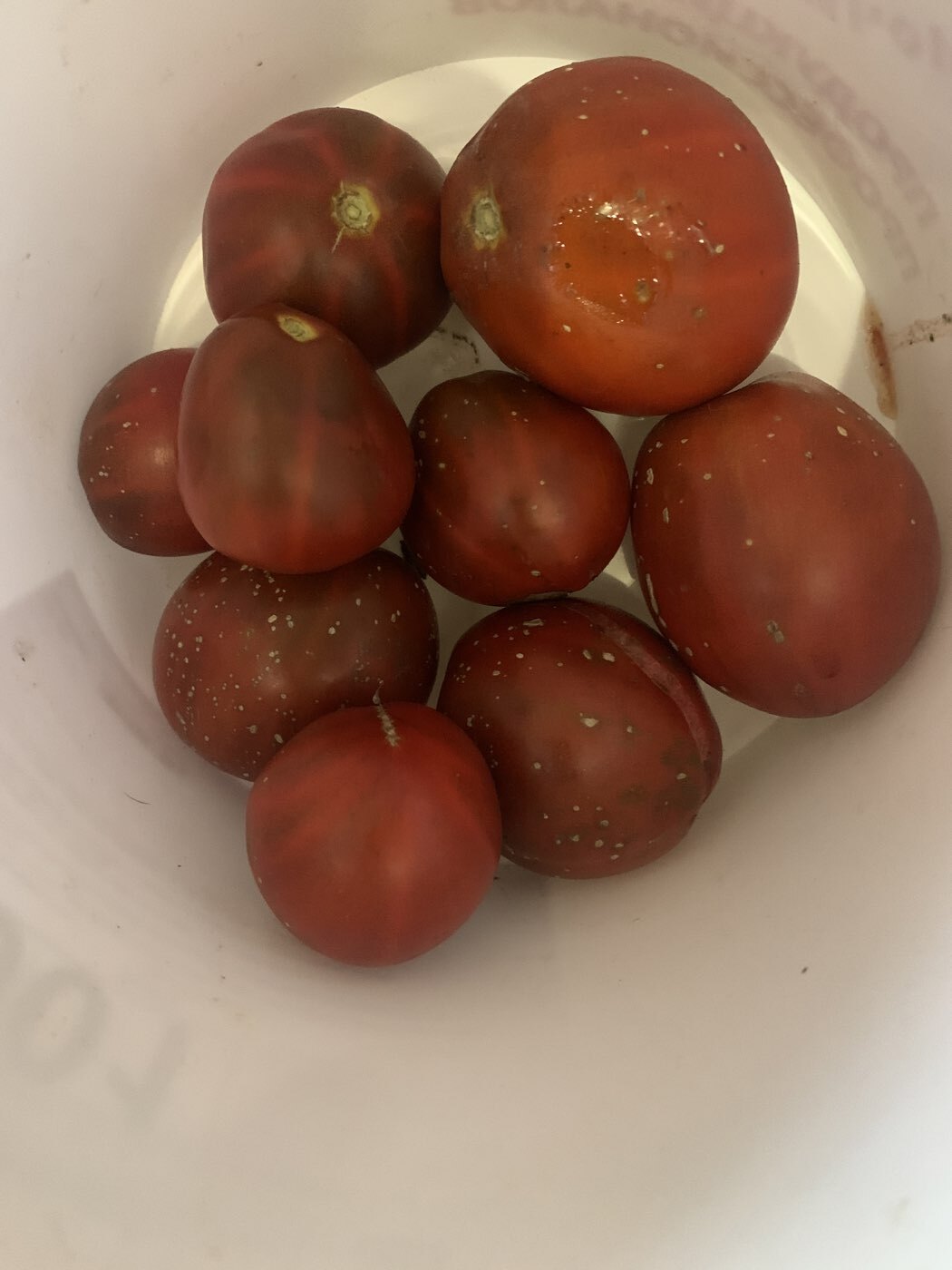 Фотография покупателя товара Семена Томат "Японский трюфель" черный,индетерминантный,высокорослый, 0,2 г - Фото 2