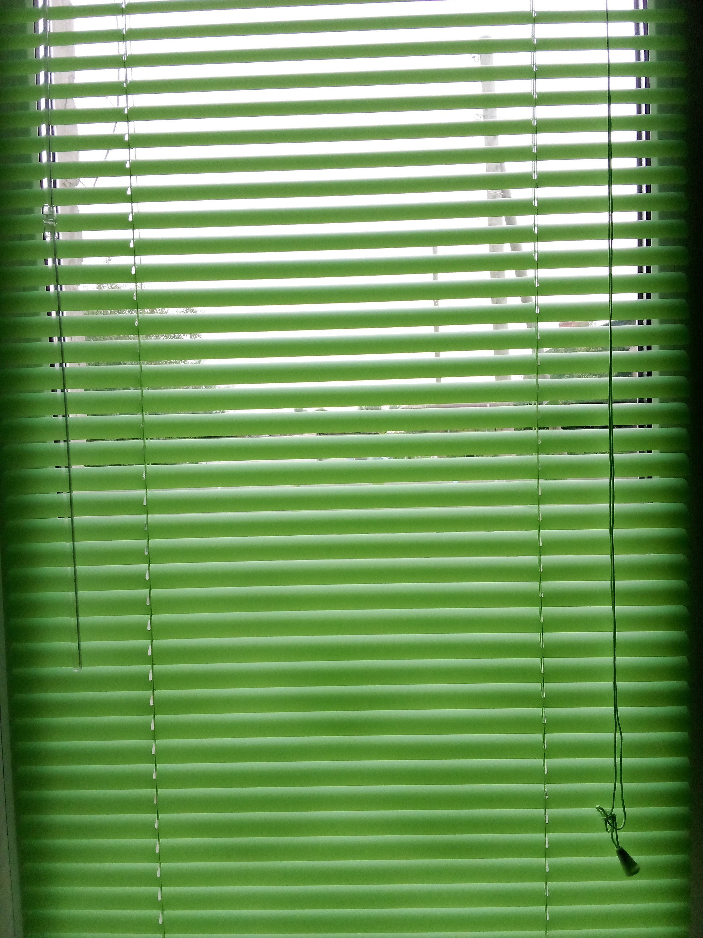 Фотография покупателя товара Жалюзи пластиковые, размер 180×160 см, цвет зелёный - Фото 1