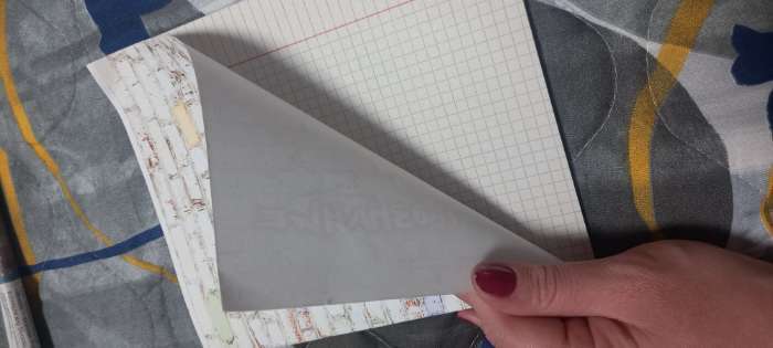 Фотография покупателя товара Тетрадь предметная "Кирпич" 40 листов в клетку "Общество", бумажная обложка, блок №2 - Фото 5