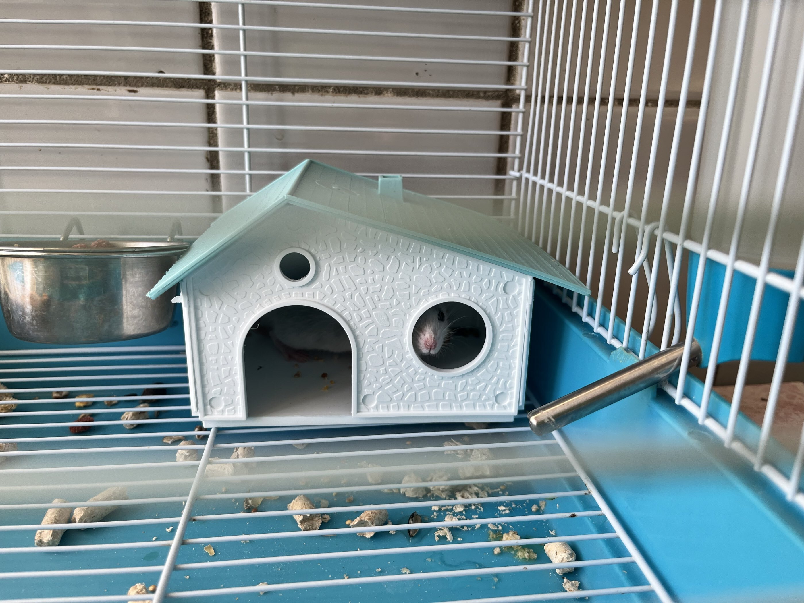 Фотография покупателя товара Домик для грызунов сборный «Нора» 9×13×10, пластик, белый с бирюзовой крышей - Фото 1