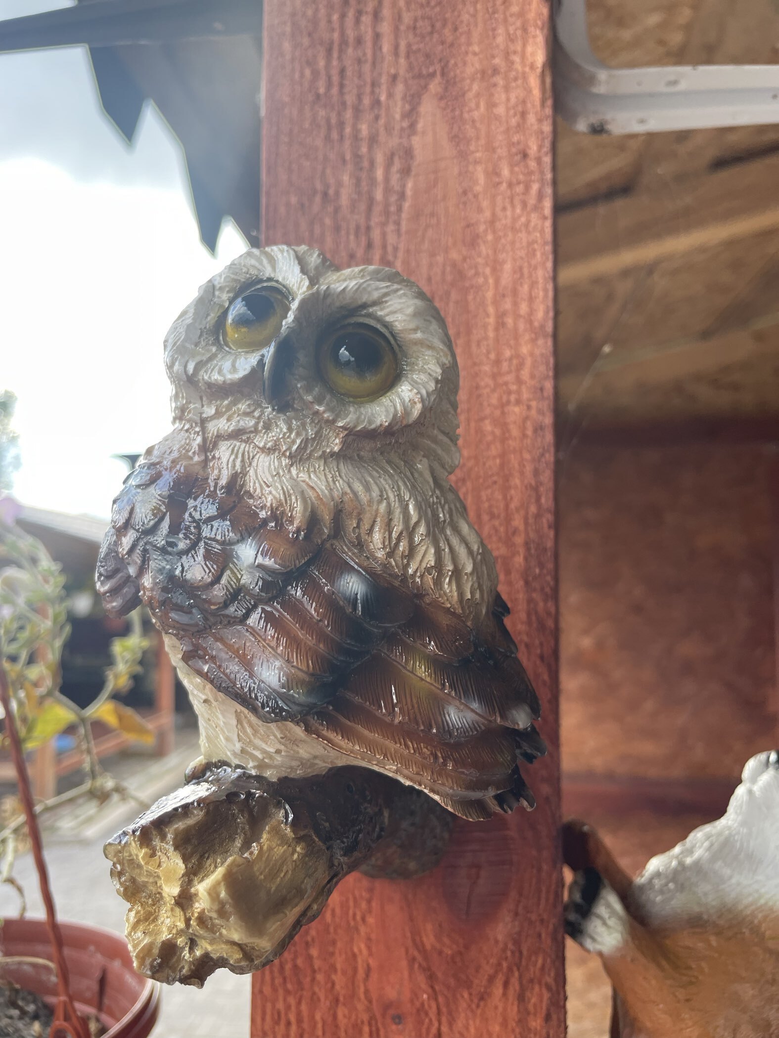 Фотография покупателя товара Подвесной декор «Совушка», 13×9×17 см - Фото 1