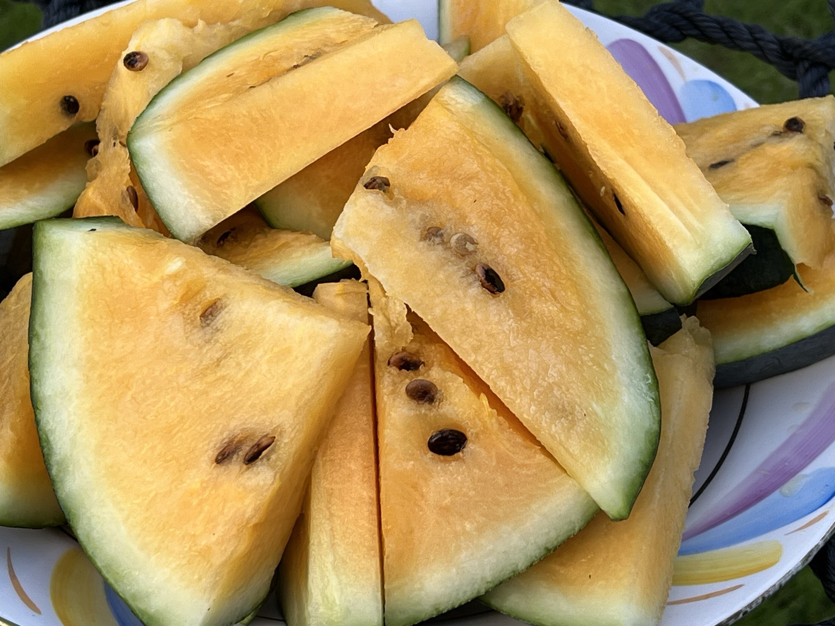 Фотография покупателя товара Семена Арбуз «Лимончино», F1, 5 шт., экстраранний, жёлтый, «Аэлита» - Фото 5