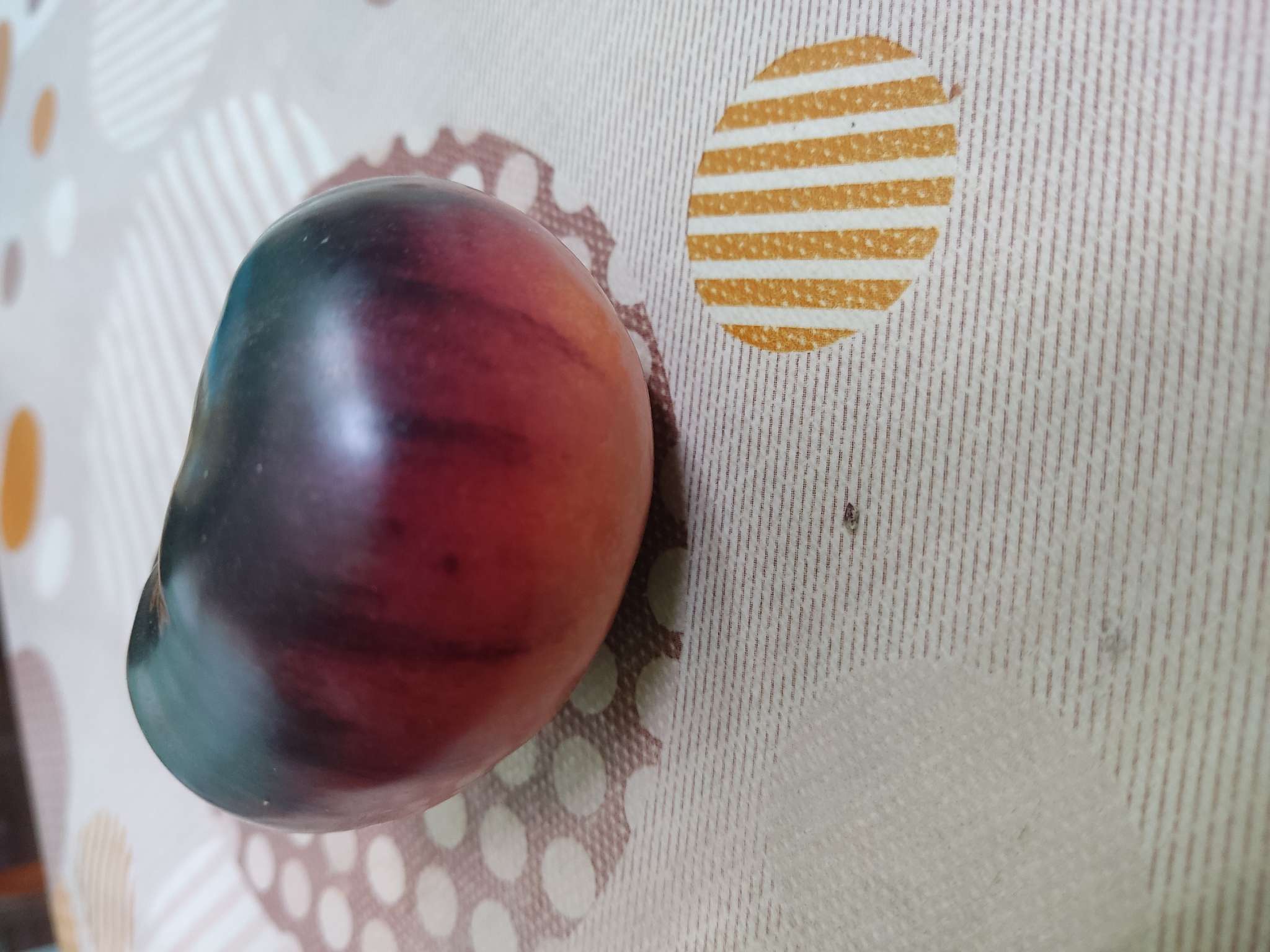 Фотография покупателя товара Семена Томат "Сибирский тигр", розовый, ц/п, индетерминантный,высокорослый , 0,2 г - Фото 3