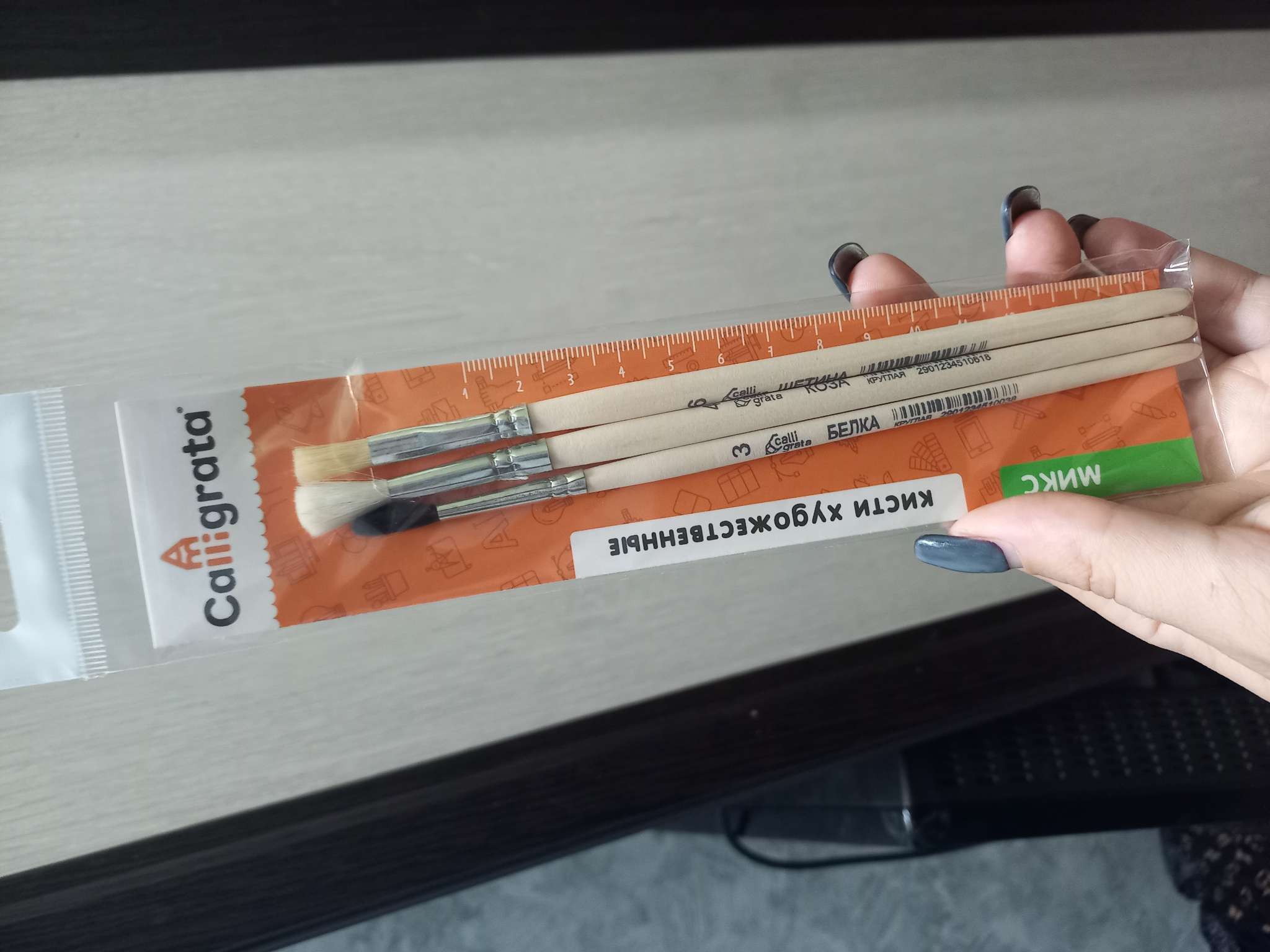 Фотография покупателя товара Набор кистей для рисования, пони, белка, коза, щетина, 6 штук: № 1, 2, 2, 3, 4, 6, Calligrata, круглые, плоские, ЭКОНОМ - Фото 1