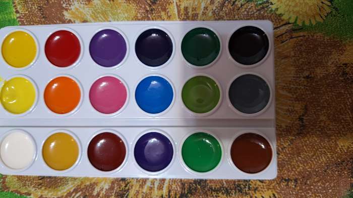 Фотография покупателя товара Акварель 18 цветов, ErichKrause Basic, без кисти, эконом, картонная коробка с европодвесом - Фото 2