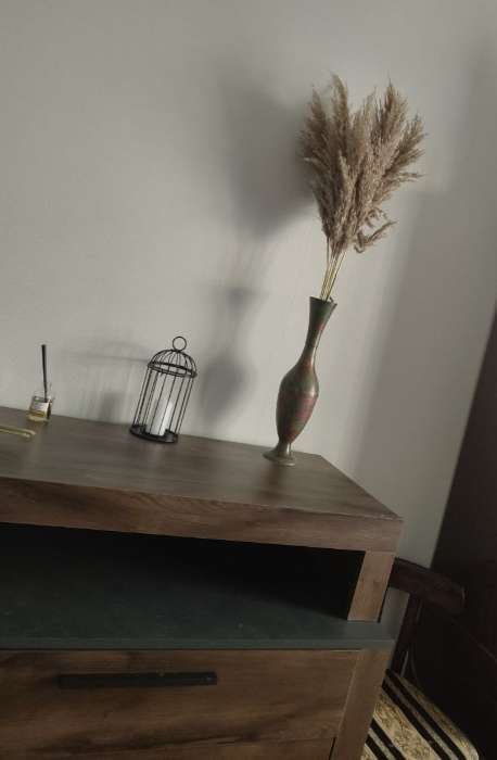 Фотография покупателя товара Сухоцветы «Камыш», h=80 см, (фасовка 5 шт., цена за 1 шт.), бежевые - Фото 7