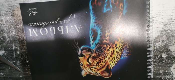 Фотография покупателя товара Альбом для рисования А4 48 листов на пружине «Котик художник» - Фото 3