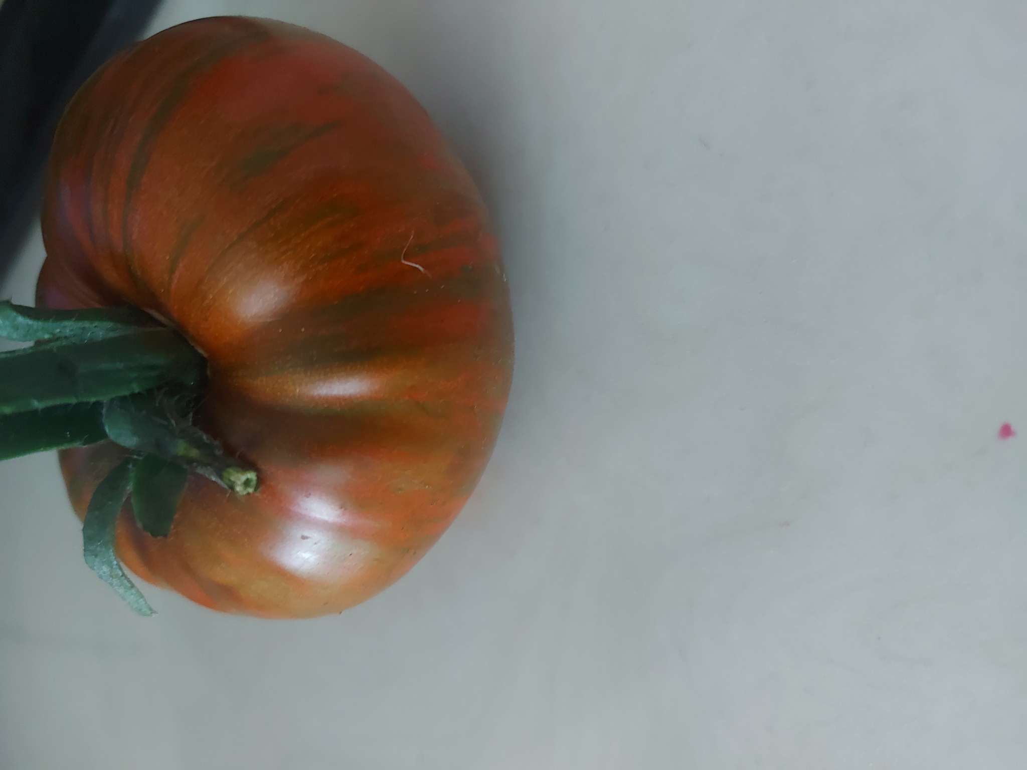 Фотография покупателя товара Семена Томат "Амурский тигр", индетерминантный,высокорослый, 20 шт - Фото 1