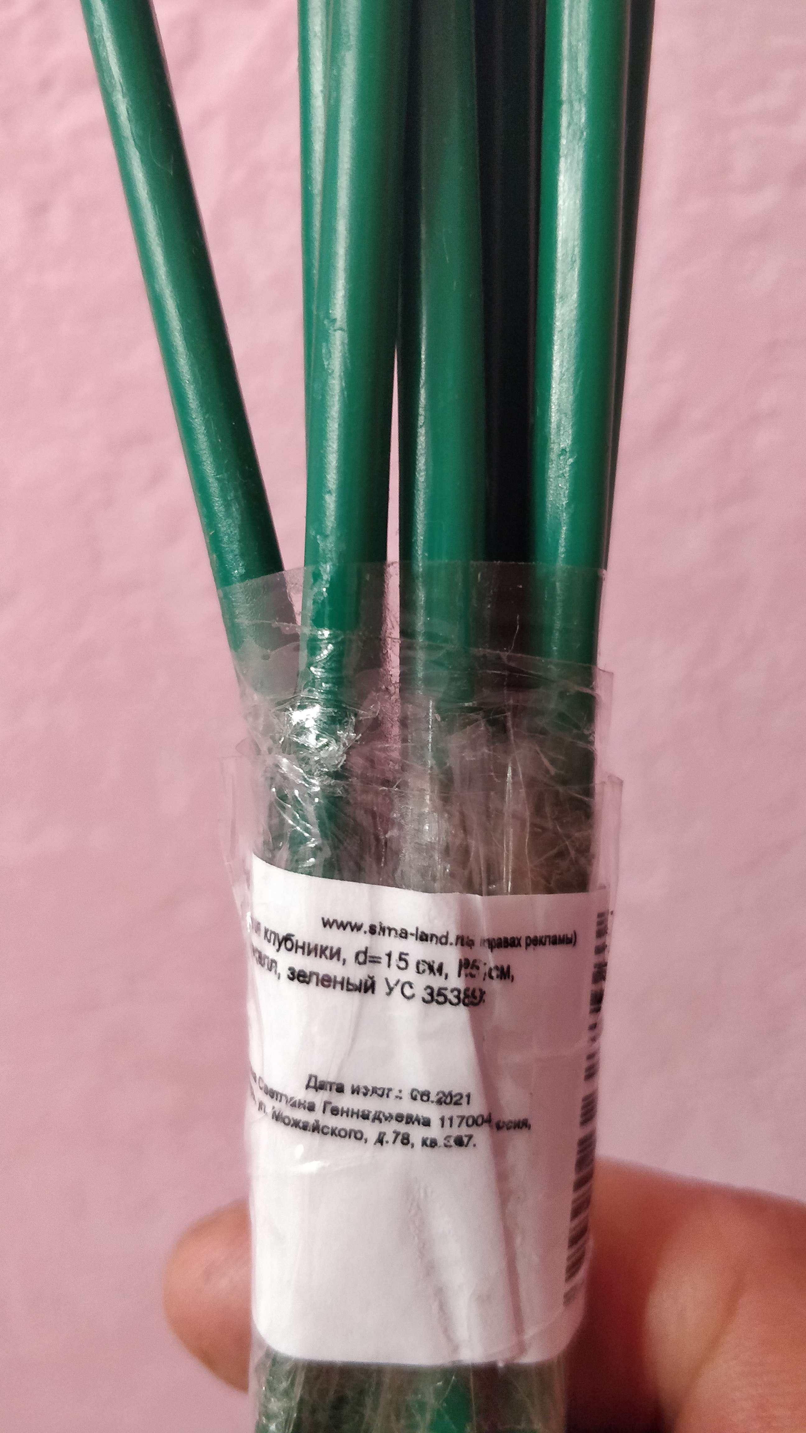 Фотография покупателя товара Кустодержатель для клубники, d = 15 см, h = 25 см, ножка d = 0,3 см, металл, зелёный, Greengo - Фото 1