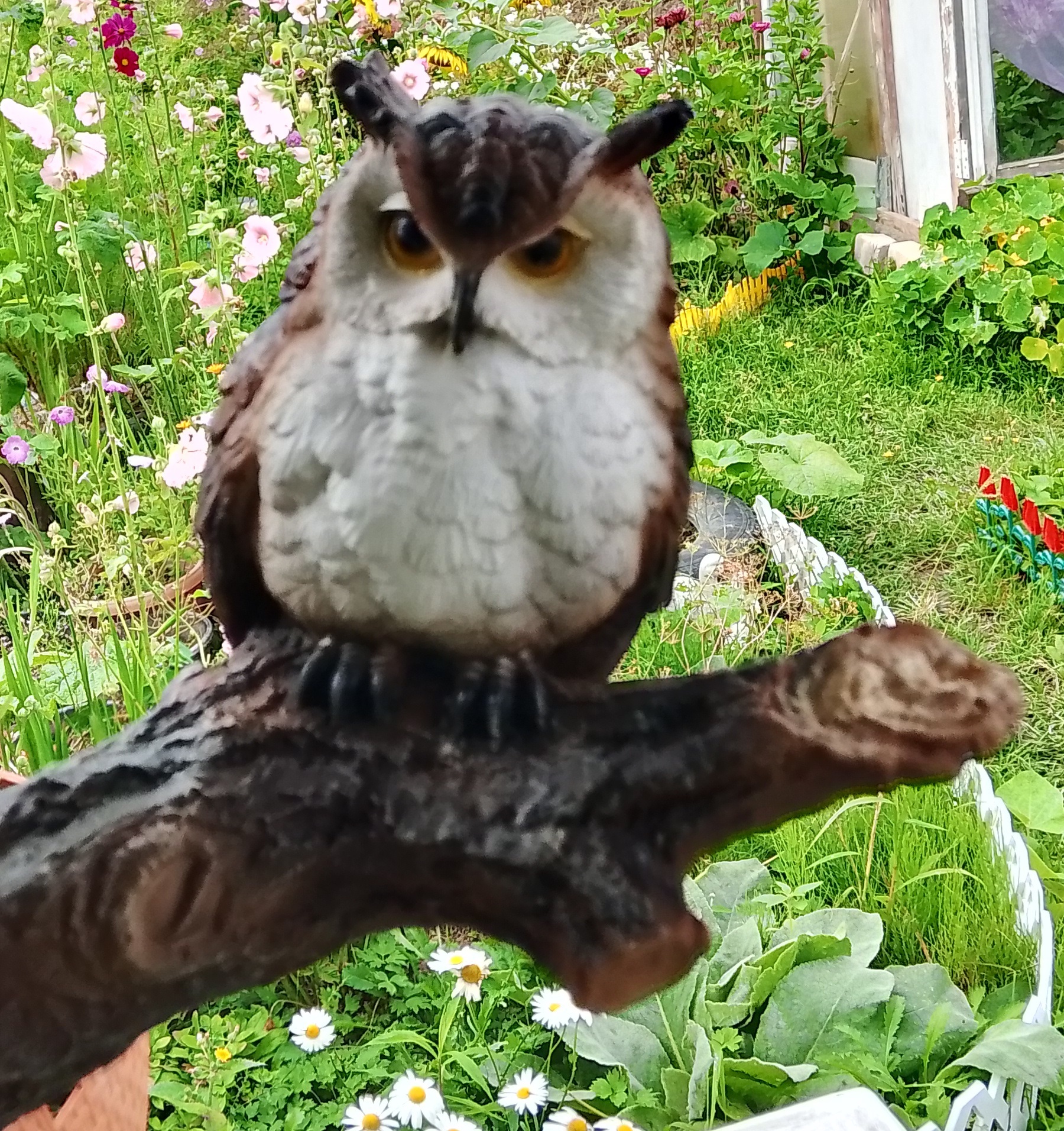 Фотография покупателя товара Подвесной декор из полистоуна «Филин на сучке», 20×9×14.5 см - Фото 1