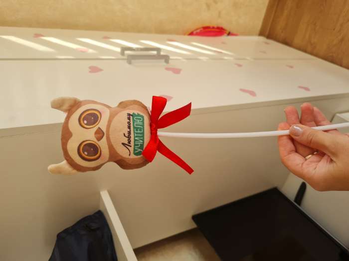 Фотография покупателя товара Мягкая игрушка в букет «Любимому учителю» - Фото 4