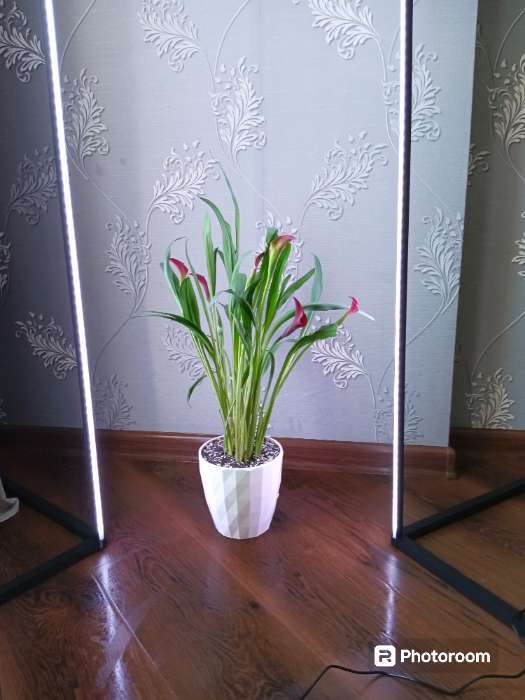 Фотография покупателя товара Горшок для цветов с прикорневым поливом Ruby, 3 л, цвет пудровый - Фото 1